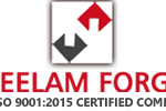 neelam forge logo.png